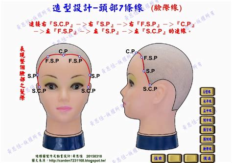 桃木避邪 頭部七條基準線中 耳點與頸側點的連線是